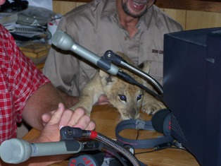 Wildlife Safari Album